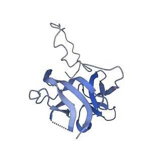 17739_8pkh_EE_v1-3
Borrelia bacteriophage BB1 procapsid, fivefold-symmetrized outer shell