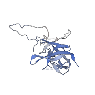 17739_8pkh_EH_v1-3
Borrelia bacteriophage BB1 procapsid, fivefold-symmetrized outer shell