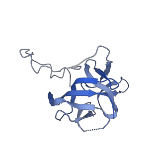 17739_8pkh_EL_v1-3
Borrelia bacteriophage BB1 procapsid, fivefold-symmetrized outer shell