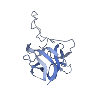 17739_8pkh_EP_v1-3
Borrelia bacteriophage BB1 procapsid, fivefold-symmetrized outer shell