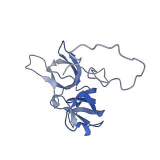 17739_8pkh_EQ_v1-3
Borrelia bacteriophage BB1 procapsid, fivefold-symmetrized outer shell