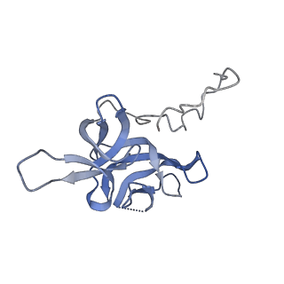 17739_8pkh_ER_v1-3
Borrelia bacteriophage BB1 procapsid, fivefold-symmetrized outer shell