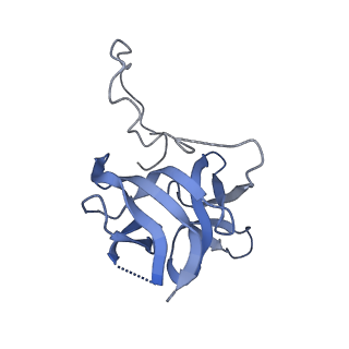 17739_8pkh_ET_v1-3
Borrelia bacteriophage BB1 procapsid, fivefold-symmetrized outer shell