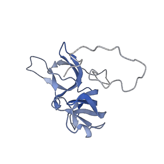 17739_8pkh_EU_v1-3
Borrelia bacteriophage BB1 procapsid, fivefold-symmetrized outer shell