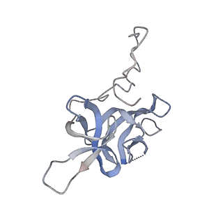 17739_8pkh_FB_v1-3
Borrelia bacteriophage BB1 procapsid, fivefold-symmetrized outer shell