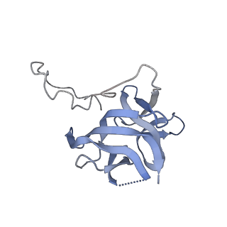 17739_8pkh_FD_v1-3
Borrelia bacteriophage BB1 procapsid, fivefold-symmetrized outer shell
