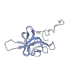 17739_8pkh_FF_v1-3
Borrelia bacteriophage BB1 procapsid, fivefold-symmetrized outer shell
