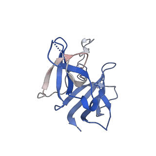 17739_8pkh_FL_v1-3
Borrelia bacteriophage BB1 procapsid, fivefold-symmetrized outer shell