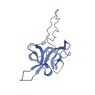 17739_8pkh_FM_v1-3
Borrelia bacteriophage BB1 procapsid, fivefold-symmetrized outer shell