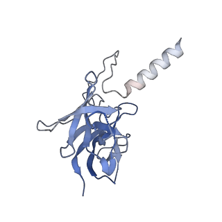17739_8pkh_FQ_v1-3
Borrelia bacteriophage BB1 procapsid, fivefold-symmetrized outer shell