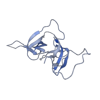 17739_8pkh_FT_v1-3
Borrelia bacteriophage BB1 procapsid, fivefold-symmetrized outer shell