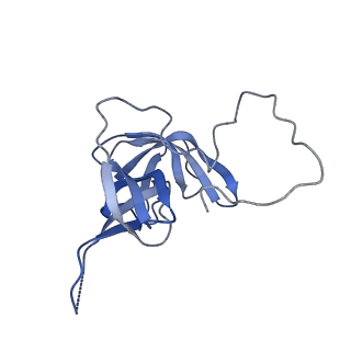 17739_8pkh_FU_v1-3
Borrelia bacteriophage BB1 procapsid, fivefold-symmetrized outer shell