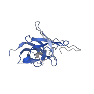 17739_8pkh_FW_v1-3
Borrelia bacteriophage BB1 procapsid, fivefold-symmetrized outer shell