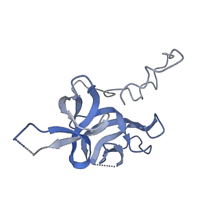 17739_8pkh_FX_v1-3
Borrelia bacteriophage BB1 procapsid, fivefold-symmetrized outer shell