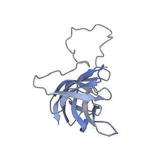 17739_8pkh_FY_v1-3
Borrelia bacteriophage BB1 procapsid, fivefold-symmetrized outer shell