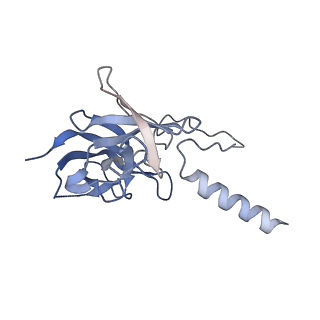17739_8pkh_GC_v1-3
Borrelia bacteriophage BB1 procapsid, fivefold-symmetrized outer shell