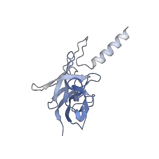 17739_8pkh_GJ_v1-3
Borrelia bacteriophage BB1 procapsid, fivefold-symmetrized outer shell