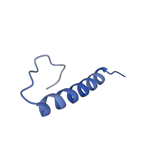 17739_8pkh_GR_v1-3
Borrelia bacteriophage BB1 procapsid, fivefold-symmetrized outer shell