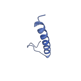 17739_8pkh_GS_v1-3
Borrelia bacteriophage BB1 procapsid, fivefold-symmetrized outer shell