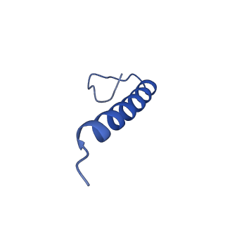 17739_8pkh_GT_v1-3
Borrelia bacteriophage BB1 procapsid, fivefold-symmetrized outer shell