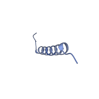 17739_8pkh_GW_v1-3
Borrelia bacteriophage BB1 procapsid, fivefold-symmetrized outer shell
