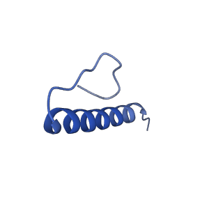 17739_8pkh_GY_v1-3
Borrelia bacteriophage BB1 procapsid, fivefold-symmetrized outer shell