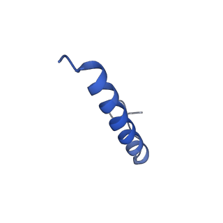 17739_8pkh_HA_v1-3
Borrelia bacteriophage BB1 procapsid, fivefold-symmetrized outer shell