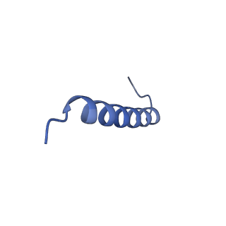 17739_8pkh_HD_v1-3
Borrelia bacteriophage BB1 procapsid, fivefold-symmetrized outer shell