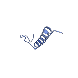 17739_8pkh_HG_v1-3
Borrelia bacteriophage BB1 procapsid, fivefold-symmetrized outer shell