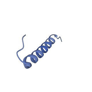 17739_8pkh_HH_v1-3
Borrelia bacteriophage BB1 procapsid, fivefold-symmetrized outer shell