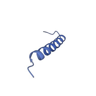 17739_8pkh_HI_v1-3
Borrelia bacteriophage BB1 procapsid, fivefold-symmetrized outer shell
