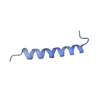 17739_8pkh_HM_v1-3
Borrelia bacteriophage BB1 procapsid, fivefold-symmetrized outer shell