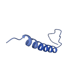 17739_8pkh_HR_v1-3
Borrelia bacteriophage BB1 procapsid, fivefold-symmetrized outer shell