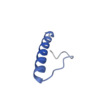 17739_8pkh_HS_v1-3
Borrelia bacteriophage BB1 procapsid, fivefold-symmetrized outer shell