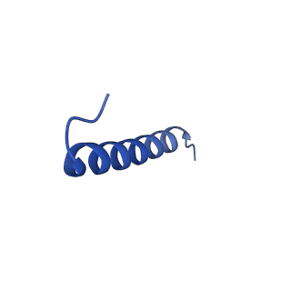 17739_8pkh_ID_v1-3
Borrelia bacteriophage BB1 procapsid, fivefold-symmetrized outer shell