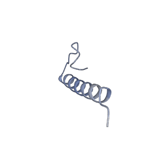 17739_8pkh_IM_v1-3
Borrelia bacteriophage BB1 procapsid, fivefold-symmetrized outer shell