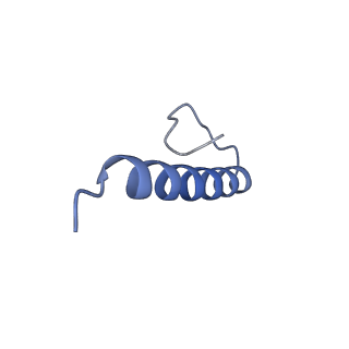 17739_8pkh_IP_v1-3
Borrelia bacteriophage BB1 procapsid, fivefold-symmetrized outer shell
