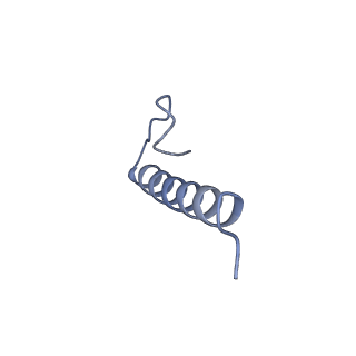 17739_8pkh_IX_v1-3
Borrelia bacteriophage BB1 procapsid, fivefold-symmetrized outer shell