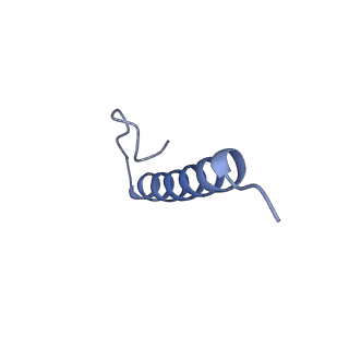 17739_8pkh_JF_v1-3
Borrelia bacteriophage BB1 procapsid, fivefold-symmetrized outer shell