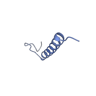 17739_8pkh_JL_v1-3
Borrelia bacteriophage BB1 procapsid, fivefold-symmetrized outer shell