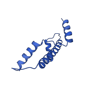 17740_8pki_A_v1-1
Cryo-EM structure of NR5A2-nucleosome complex SHL+5.5