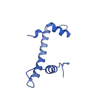 17740_8pki_B_v1-1
Cryo-EM structure of NR5A2-nucleosome complex SHL+5.5