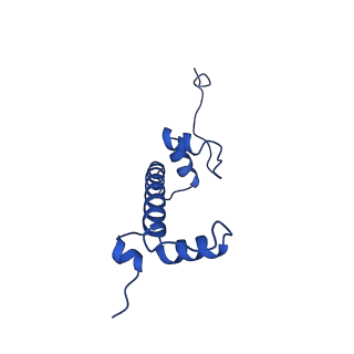 17740_8pki_C_v1-1
Cryo-EM structure of NR5A2-nucleosome complex SHL+5.5