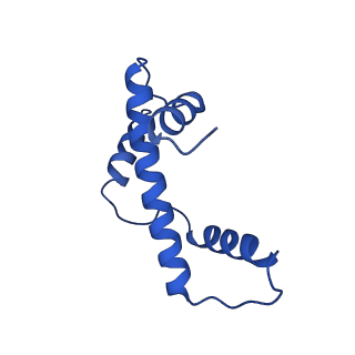 17740_8pki_E_v1-1
Cryo-EM structure of NR5A2-nucleosome complex SHL+5.5