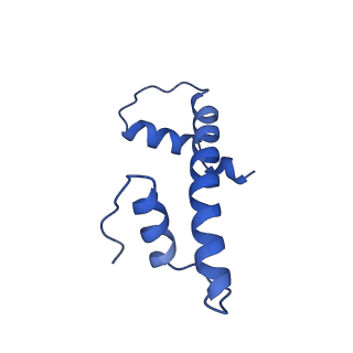 17740_8pki_F_v1-1
Cryo-EM structure of NR5A2-nucleosome complex SHL+5.5