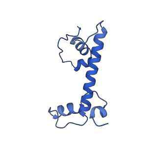 17740_8pki_G_v1-1
Cryo-EM structure of NR5A2-nucleosome complex SHL+5.5