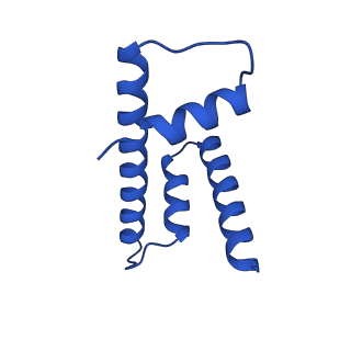 17740_8pki_H_v1-1
Cryo-EM structure of NR5A2-nucleosome complex SHL+5.5