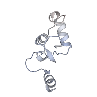 17740_8pki_K_v1-1
Cryo-EM structure of NR5A2-nucleosome complex SHL+5.5