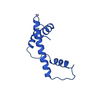 17741_8pkj_A_v1-1
Cryo-EM structure of the nucleosome containing Nr5a2 motif at SHL+5.5