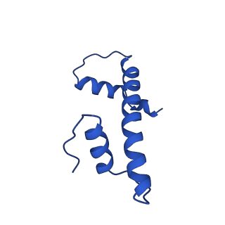 17741_8pkj_B_v1-1
Cryo-EM structure of the nucleosome containing Nr5a2 motif at SHL+5.5